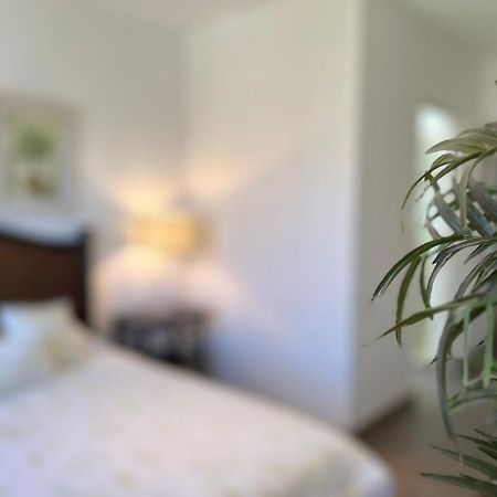 산미겔데아옌데 Casas Vacacionales El Deseo By Picsa Administracion 빌라 외부 사진